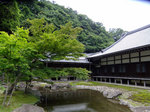 12_large-1.jpg