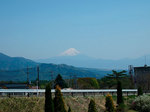 140518kiyosato_005.jpg